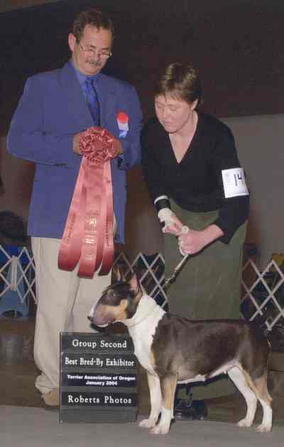 Hennessy_TerrierAssOregon